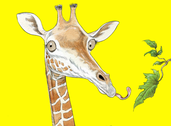 How The Giraffe-Tall_Stories20