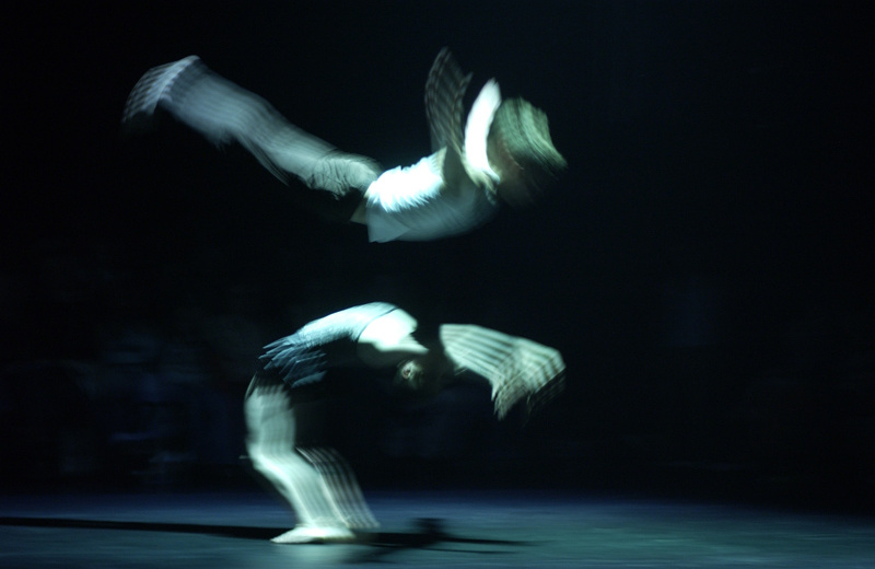 Leap