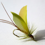 The_savage_event_thumbnail