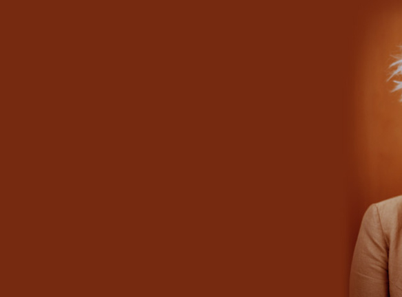 Wallis_bird_banner_02
