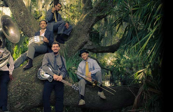 New_orleans_swamp_donekys_banner