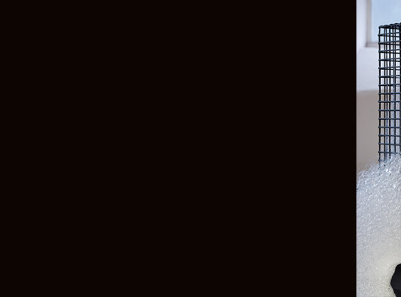 Ronnie_hughes_evgeniya_martirosyan_banner