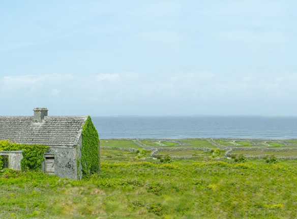 The_living_lands_banner
