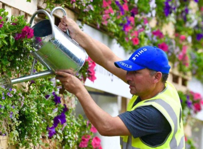 Sustainability banner 01