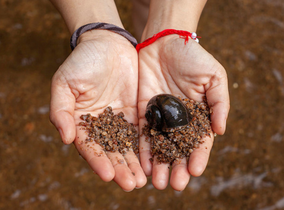 Food finalfrontier banner