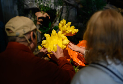 Woman touches flower in Festival Gallery guided touch tour