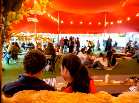 Festival garden