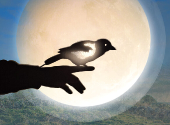 Why The Moon Travels