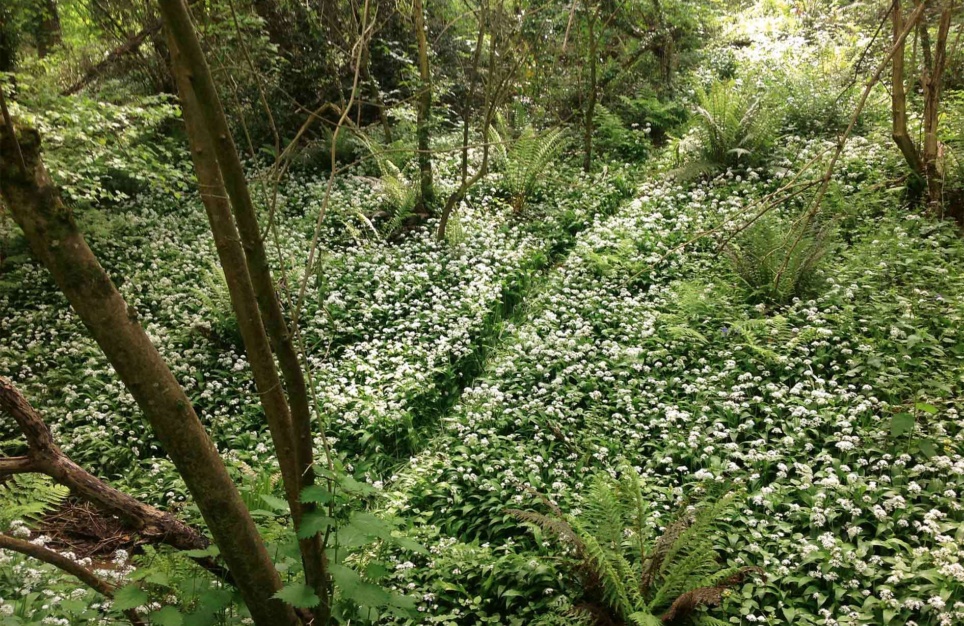 Interface Inagh This Too Will Pass