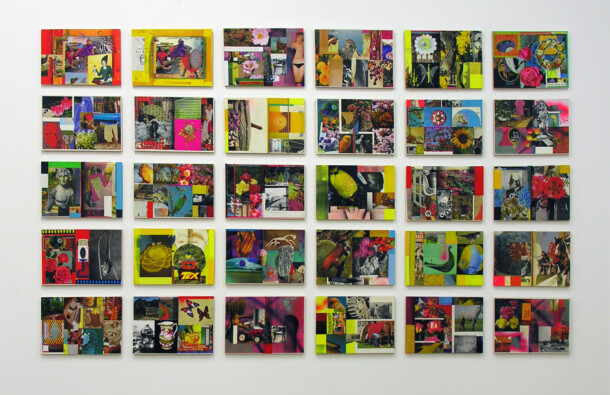 <p>Monoprint, Acrylic Stencil, Photomontage</p>
<p>	30 panels each 30 x 42 cm</p>

<p>	Adjudicator for imPRESSions 2015</p>