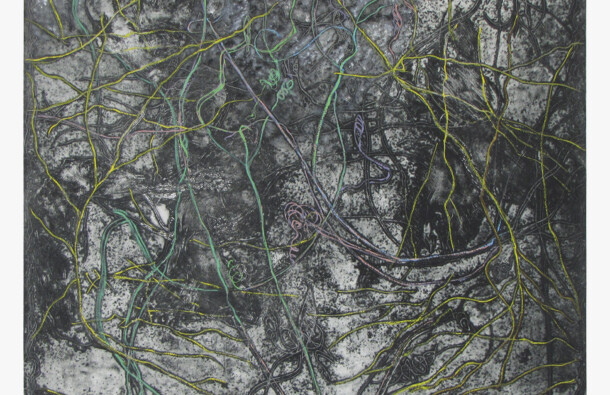 <p>Solar Plate Etching, Oil and Pastel on Arches paper</p>
<p>	83.8 x 83.8 cm</p>