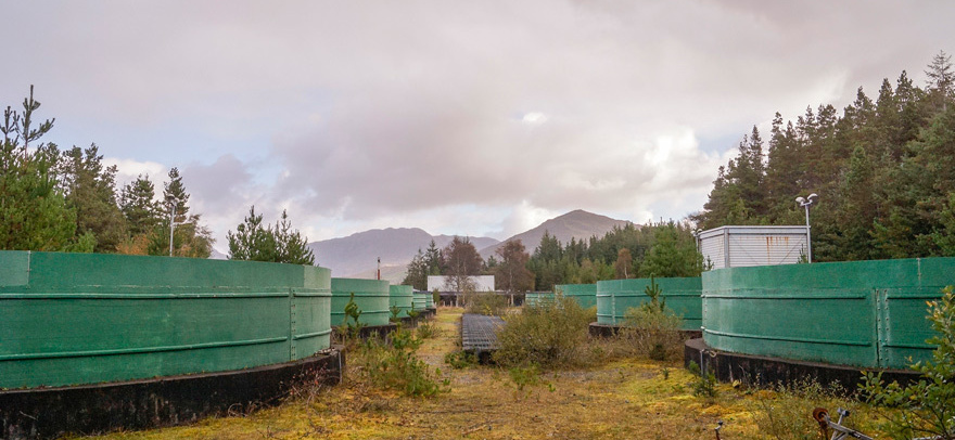 2 Inagh Valley Salmon Hatchery Brent Meistre