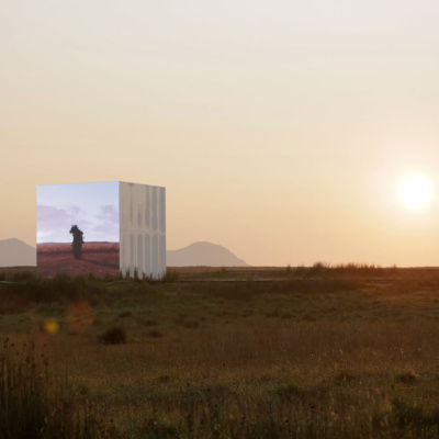 14 Leaf Work Colm Hogan