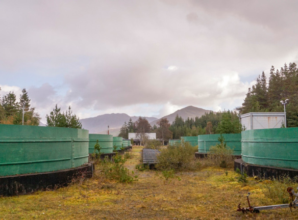 2 Inagh Valley Salmon Hatchery Brent Meistre