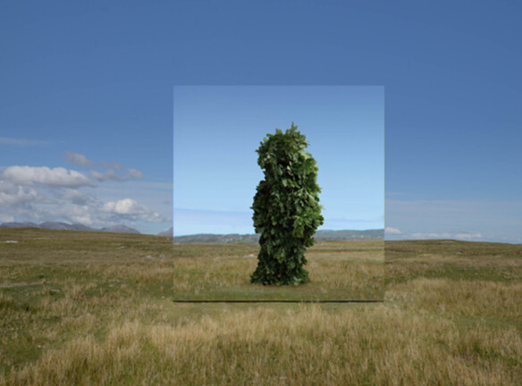 Mirror Pavilion