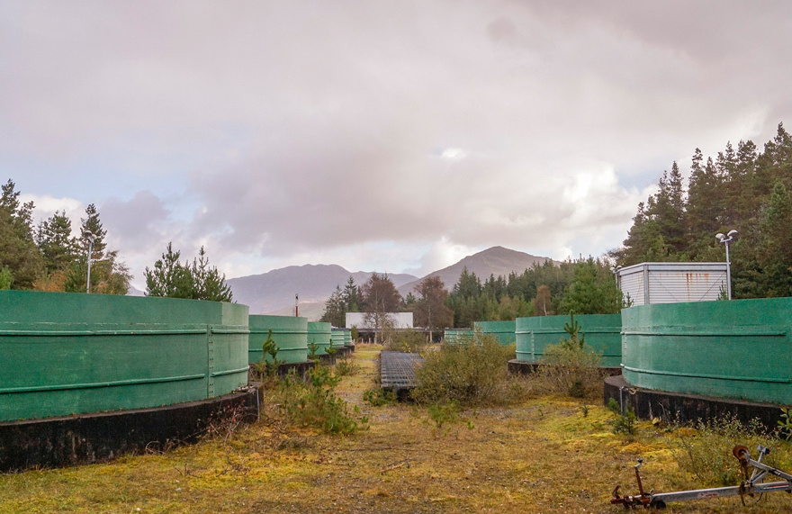 2 Inagh Valley Salmon Hatchery Brent Meistre cropped