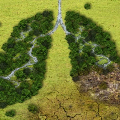 Climate Again Banner