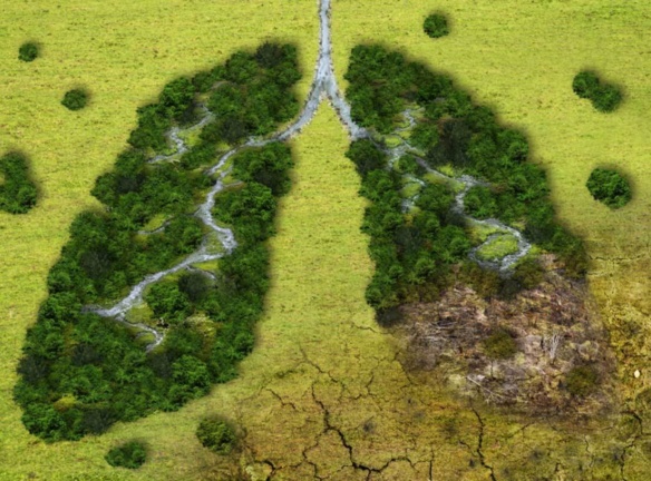 Climate Again Banner
