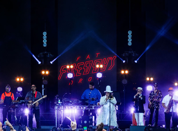 Fat freddys drop banner