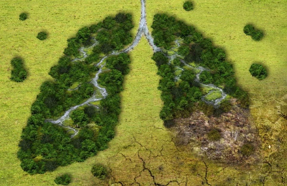 Climate Again Banner