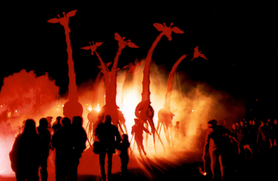 Les Girafes 1 Banner