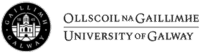 University Of Galway Logo Negative Landscape Mono