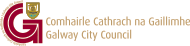 Galway_city_council