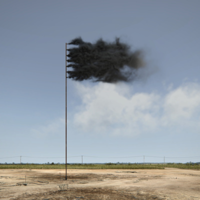 <p><em>Western Flag </em>by John Gerrard</p>