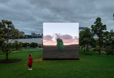 Leaf Work at Sydney Biennial Photographer WOLTER PEETERS