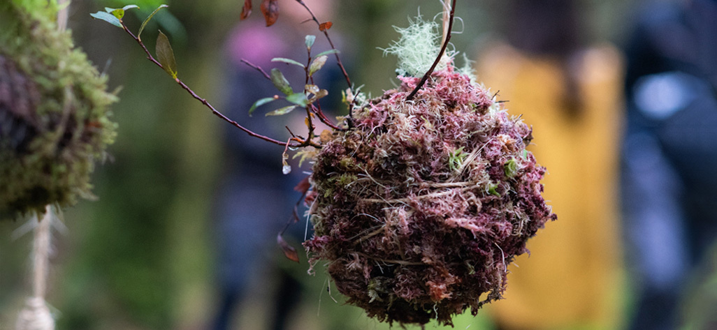 <p>Kokedama by Helena Doyle Woodland Symposium Interface Photo Aoife Herriott</p>